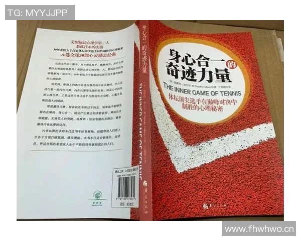 深圳网球队配合策略分析与提升方法探讨