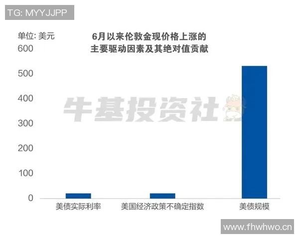 全球经济面临不确定性 多国央行加息预期升温市场反应持续波动